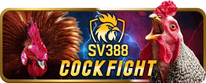 Giới thiệu về Pub88 và các dịch vụ cá cược trực tuyến